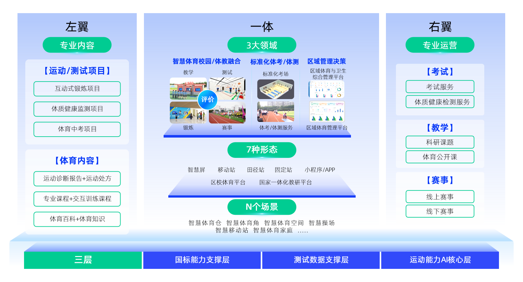 z6com·尊龙凯时教育体育架构图.png
